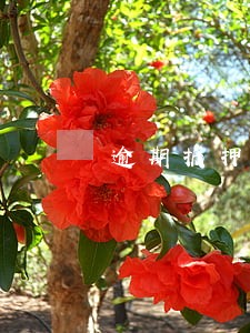 逾期抵押债权如何评估 逾期抵押债权如何评估