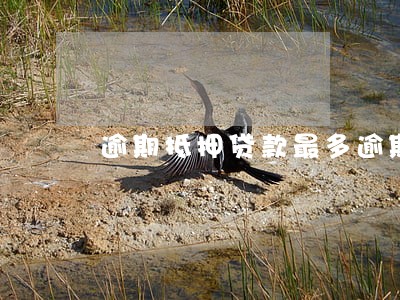 逾期抵押贷款最多逾期多久 逾期抵押贷款最多逾期多久