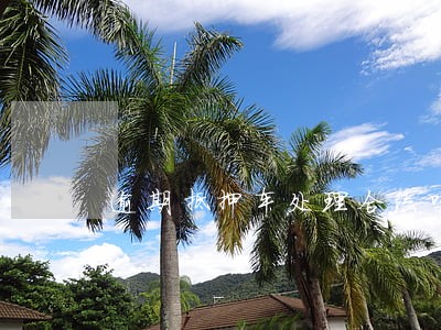 逾期抵押车处理合法吗