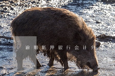 逾期抵押银行会计分录 逾期抵押银行会计分录