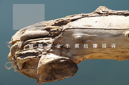 逾期押金不退给哪投诉 逾期押金不退给哪投诉