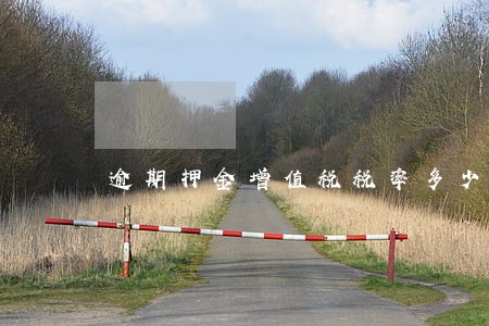 逾期押金增值税税率多少