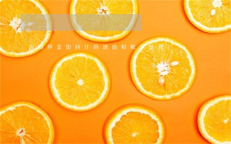 逾期押金如何计算增值税账务处理 逾期押金如何计算增值税账务处理