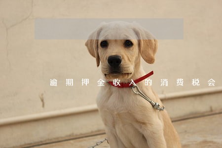 逾期押金收入的消费税会退回吗 逾期押金收入的消费税会退回吗