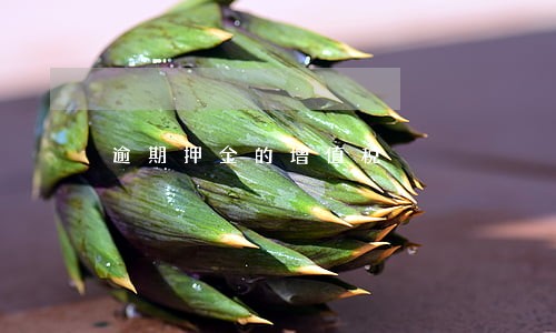逾期押金的增值税 逾期押金的增值税