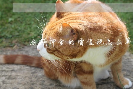 逾期押金的增值税怎么算 逾期押金的增值税怎么算