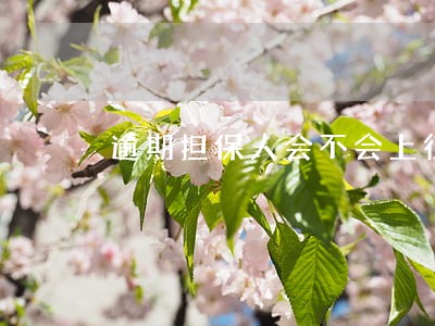 逾期担保人会不会上征信 逾期担保人会不会上征信