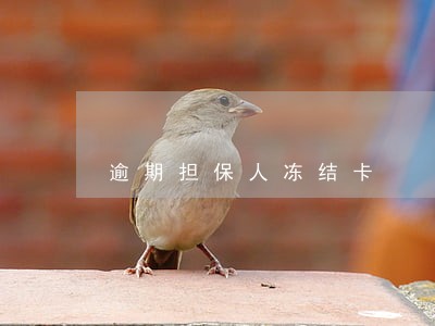 逾期担保人冻结卡 逾期担保人冻结卡