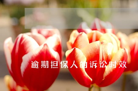 逾期担保人的诉讼时效 逾期担保人的诉讼时效