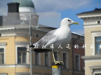 逾期担保人还的什么意思 逾期担保人还的什么意思