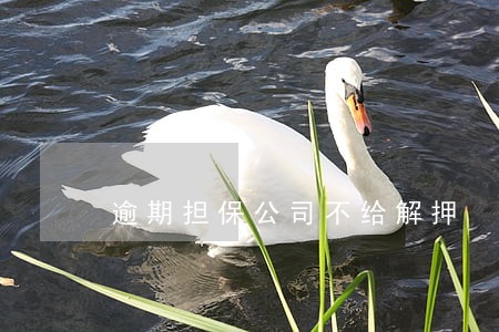 逾期担保公司不给解押 逾期担保公司不给解押