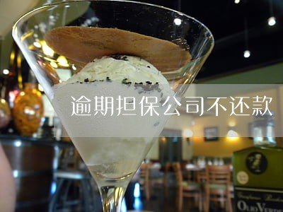 逾期担保公司不还款 逾期担保公司不还款