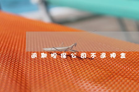 逾期担保公司不退押金