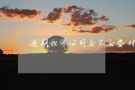 逾期担保公司会不会垫付 逾期担保公司会不会垫付