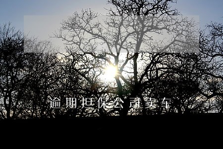 逾期担保公司卖车 逾期担保公司卖车