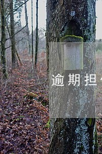 逾期担保公司强行把我车开走 逾期担保公司强行把我车开走