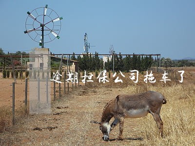 逾期担保公司拖车了 逾期担保公司拖车了