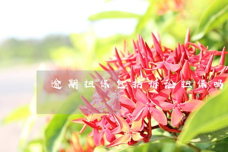 逾期担保包括诉讼担保吗 逾期担保包括诉讼担保吗