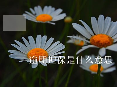 逾期担保是什么意思