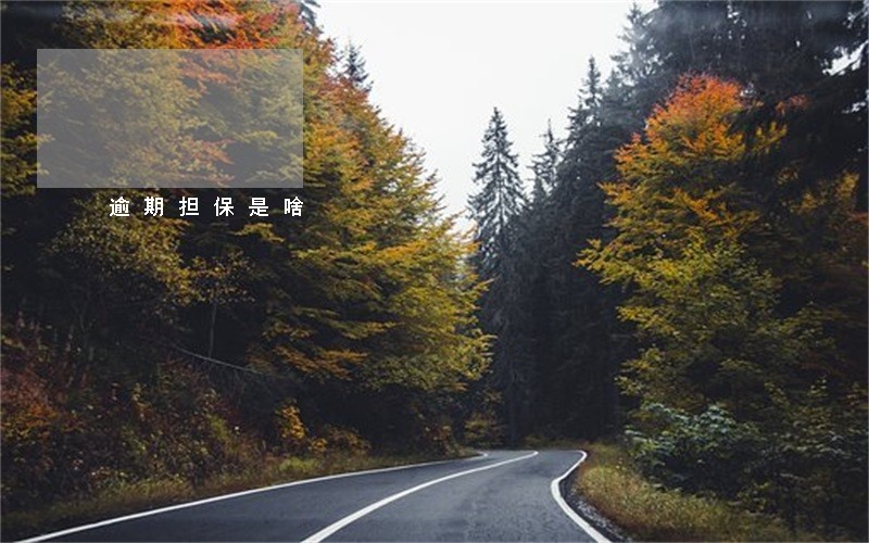 逾期担保是啥 逾期担保是啥
