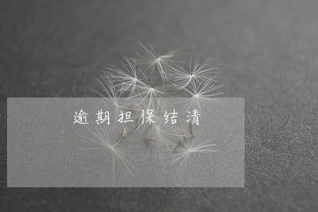 逾期担保结清 逾期担保结清