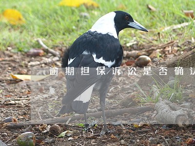 逾期担保诉讼是否确认负债 逾期担保诉讼是否确认负债