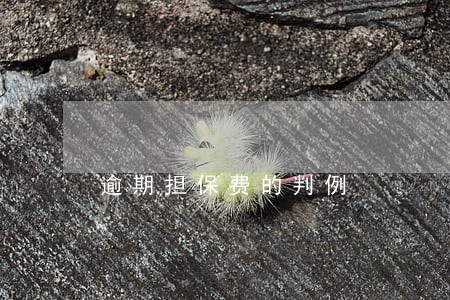 逾期担保费的判例 逾期担保费的判例