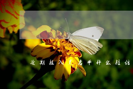 逾期拉入黑名单什么短信是真的 逾期拉入黑名单什么短信是真的
