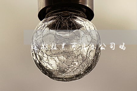 逾期拉黑可以办公司吗 逾期拉黑可以办公司吗