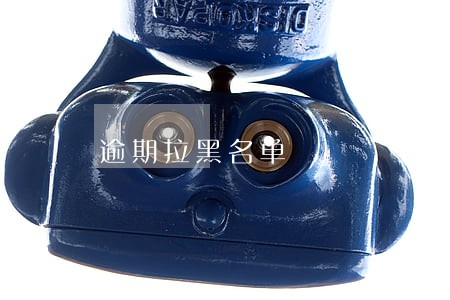 逾期拉黑名单 逾期拉黑名单