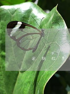 逾期拉黑名单对家人有什么影响 逾期拉黑名单对家人有什么影响