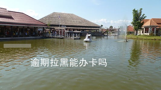 逾期拉黑能办卡吗