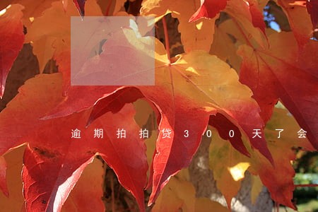 逾期拍拍贷300天了会不会坐牢 逾期拍拍贷300天了会不会坐牢