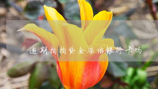 逾期拍拍贷会冻结银行卡吗 逾期拍拍贷会冻结银行卡吗