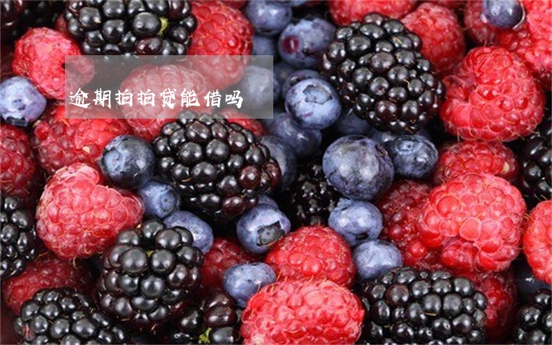 逾期拍拍贷能借吗 逾期拍拍贷能借吗