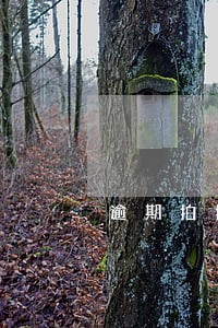 逾期拍拍贷还款方式 逾期拍拍贷还款方式