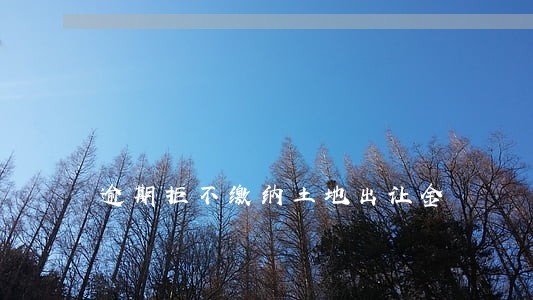 逾期拒不缴纳土地出让金