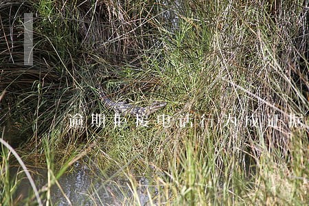 逾期拒接电话行为成证据 逾期拒接电话行为成证据