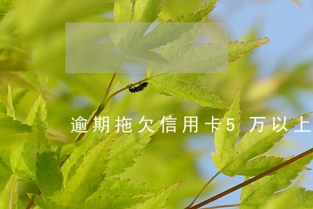 逾期拖欠信用卡5万以上 逾期拖欠信用卡5万以上