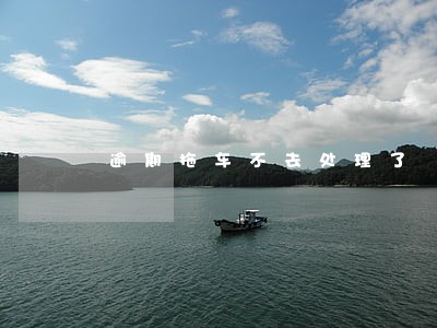 逾期拖车不去处理了 逾期拖车不去处理了
