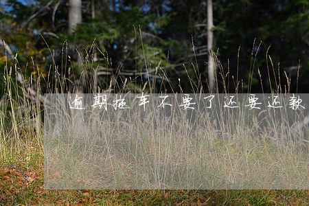 逾期拖车不要了还要还款吗
