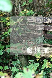 逾期拖车后面要保证金