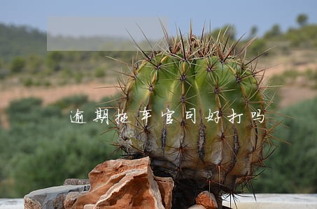 逾期拖车官司好打吗