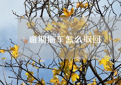 逾期拖车怎么取回