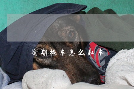 逾期拖车怎么取车 逾期拖车怎么取车