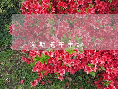 逾期拖车手续 逾期拖车手续