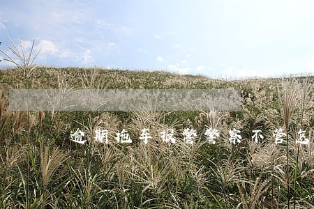 逾期拖车报警警察不管怎么办