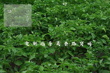 逾期拖车是套路贷吗 逾期拖车是套路贷吗