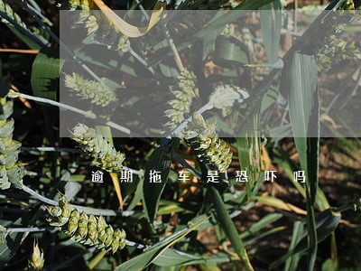 逾期拖车是恐吓吗 逾期拖车是恐吓吗