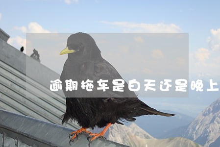 逾期拖车是白天还是晚上 逾期拖车是白天还是晚上